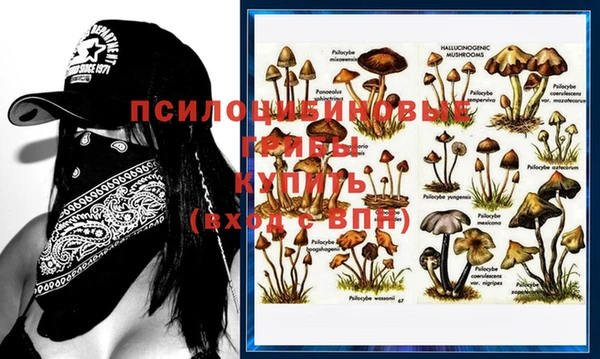 бутират Долгопрудный