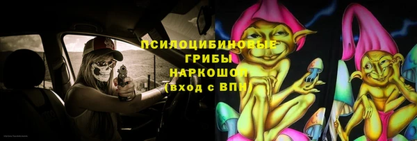 шишки Наволоки