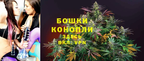 шишки Михайловка