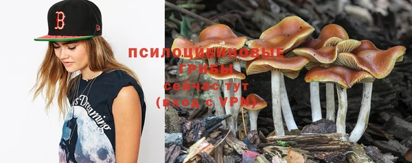 дживик Новый Уренгой