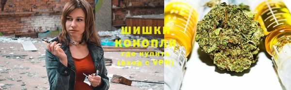 шишки Наволоки