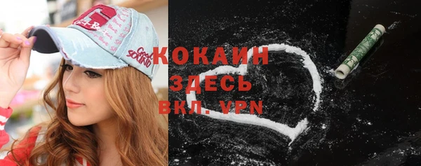шишки Михайловка