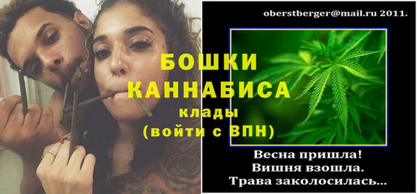 первитин Михайлов