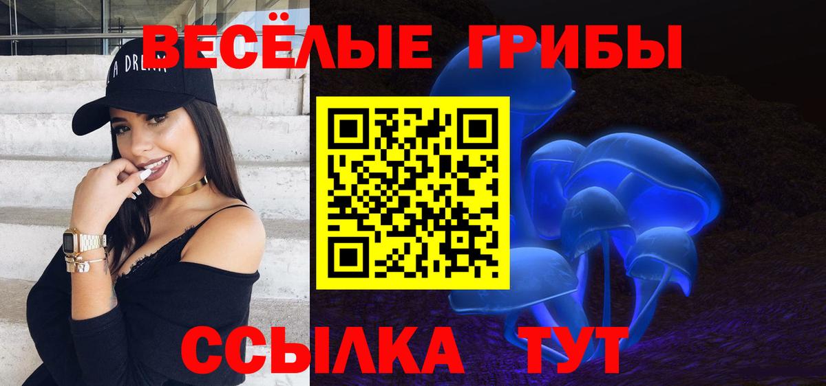 Галлюциногенные грибы прущие грибы Санкт-Петербург