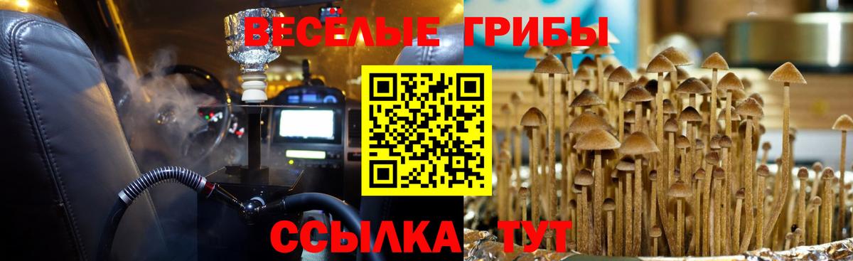 Санкт-Петербург  Псилоцибиновые грибы GOLDEN TEACHER  Вход с VPN 